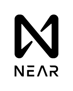 NEAR Protocol Token Logo